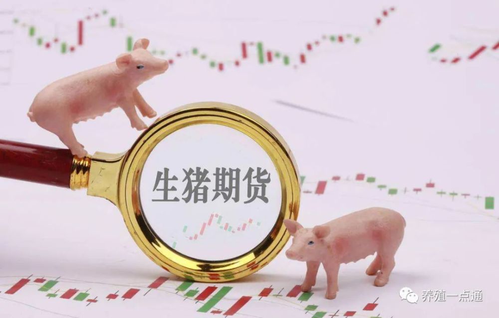 生猪期货上市最新消息，市场反响热烈，展望未来发展