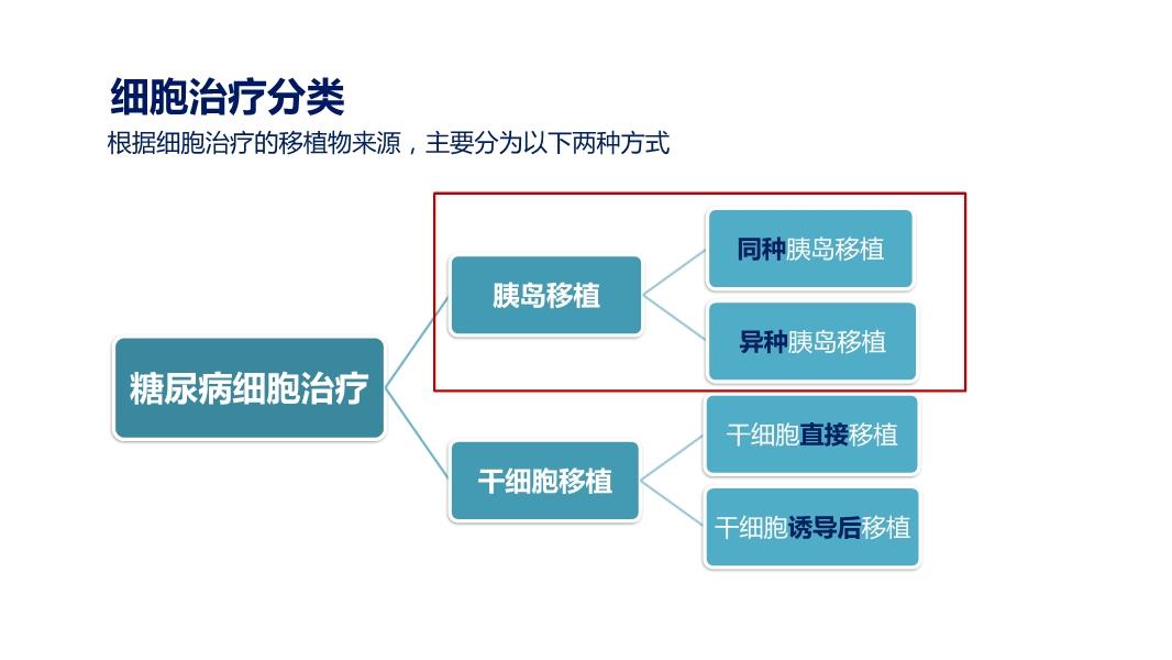 干细胞治疗糖尿病的最新进展