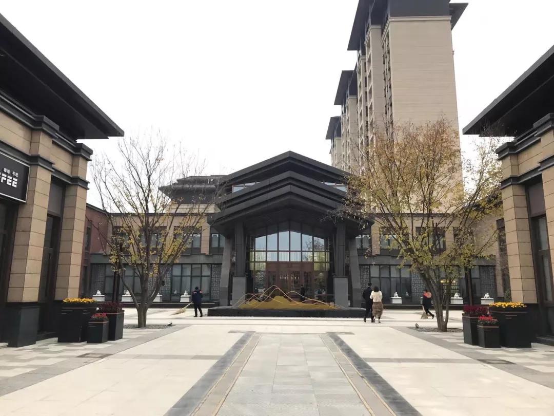 沣东湖光山色最新动态